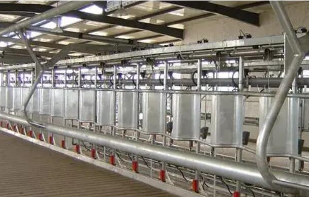 大通钢结构 vs 传统结构：一场关于强度与速度的全面胜出！